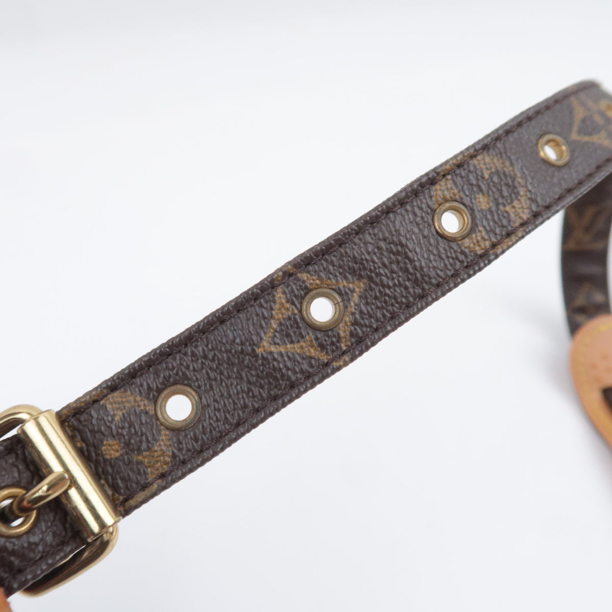 Louis Vuitton Monogram Nile Crossbody Bag M45244