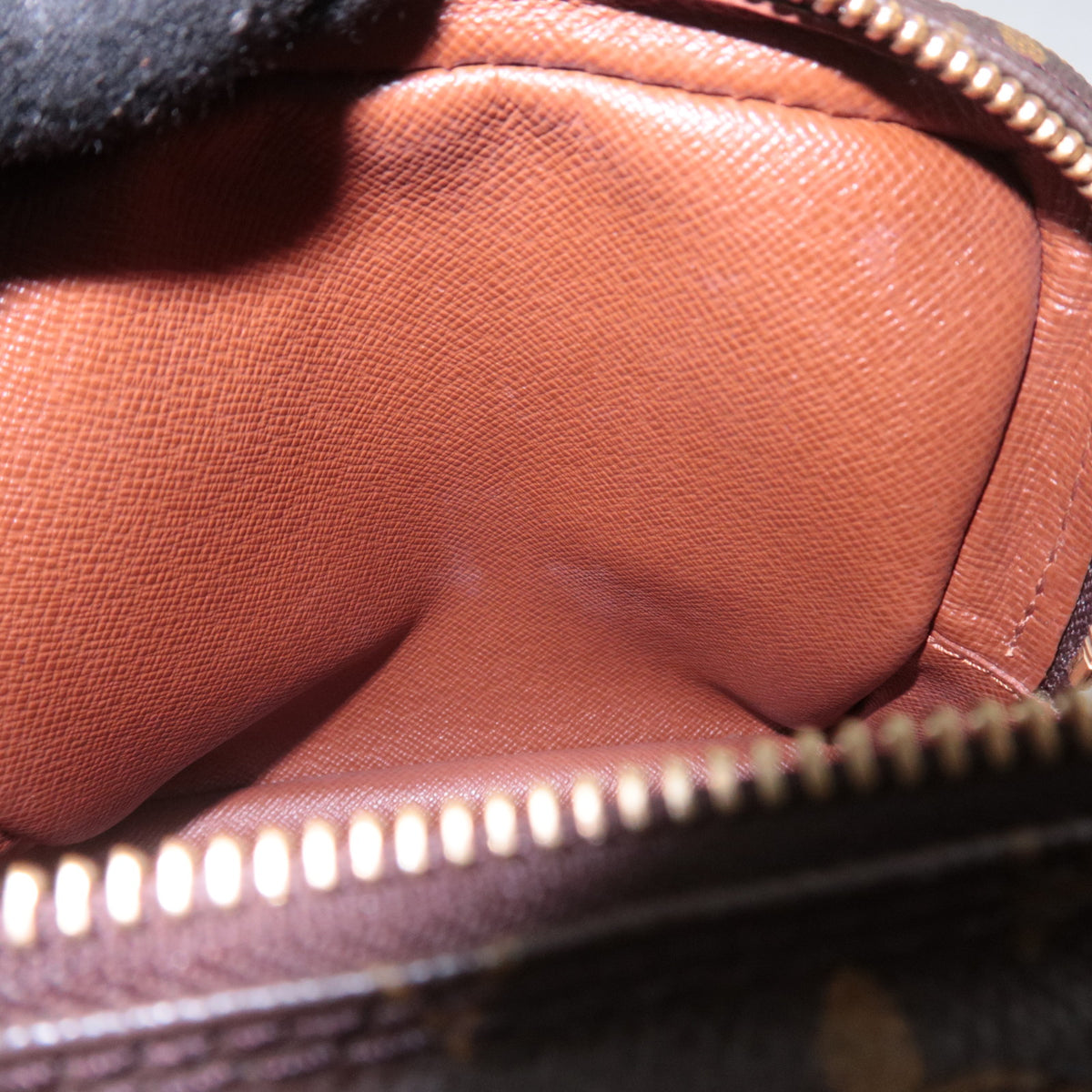 Louis Vuitton Monogram Amazon Shoulder Bag M45236