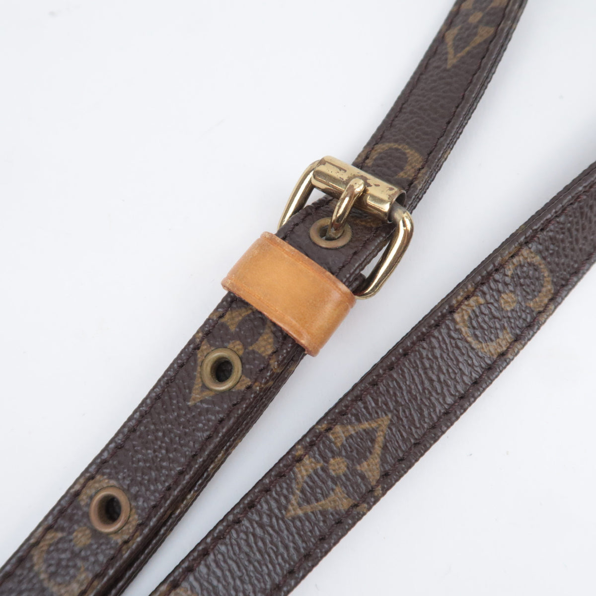 Louis Vuitton Monogram Amazon Shoulder Bag M45236