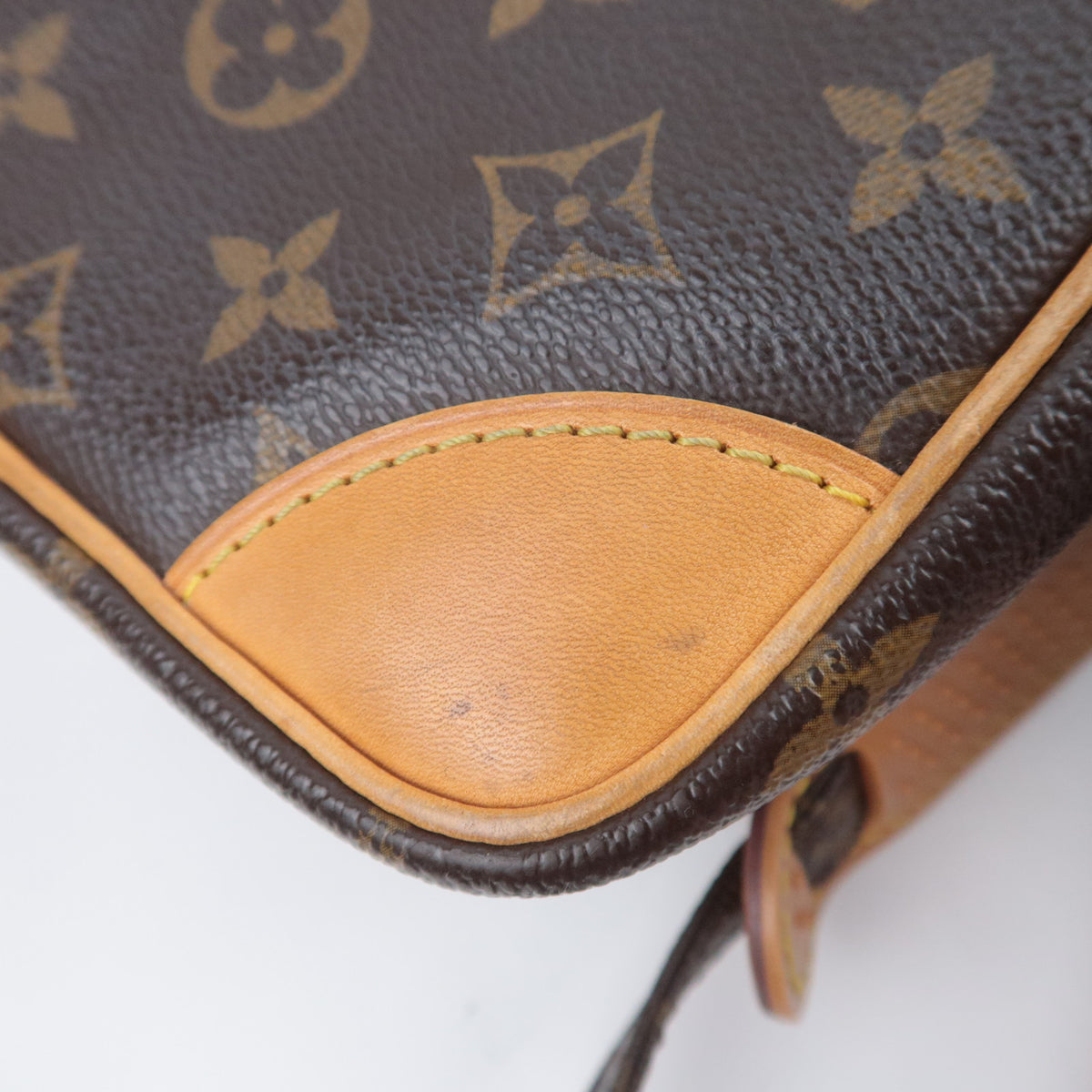 Louis Vuitton Monogram Amazon Shoulder Bag M45236